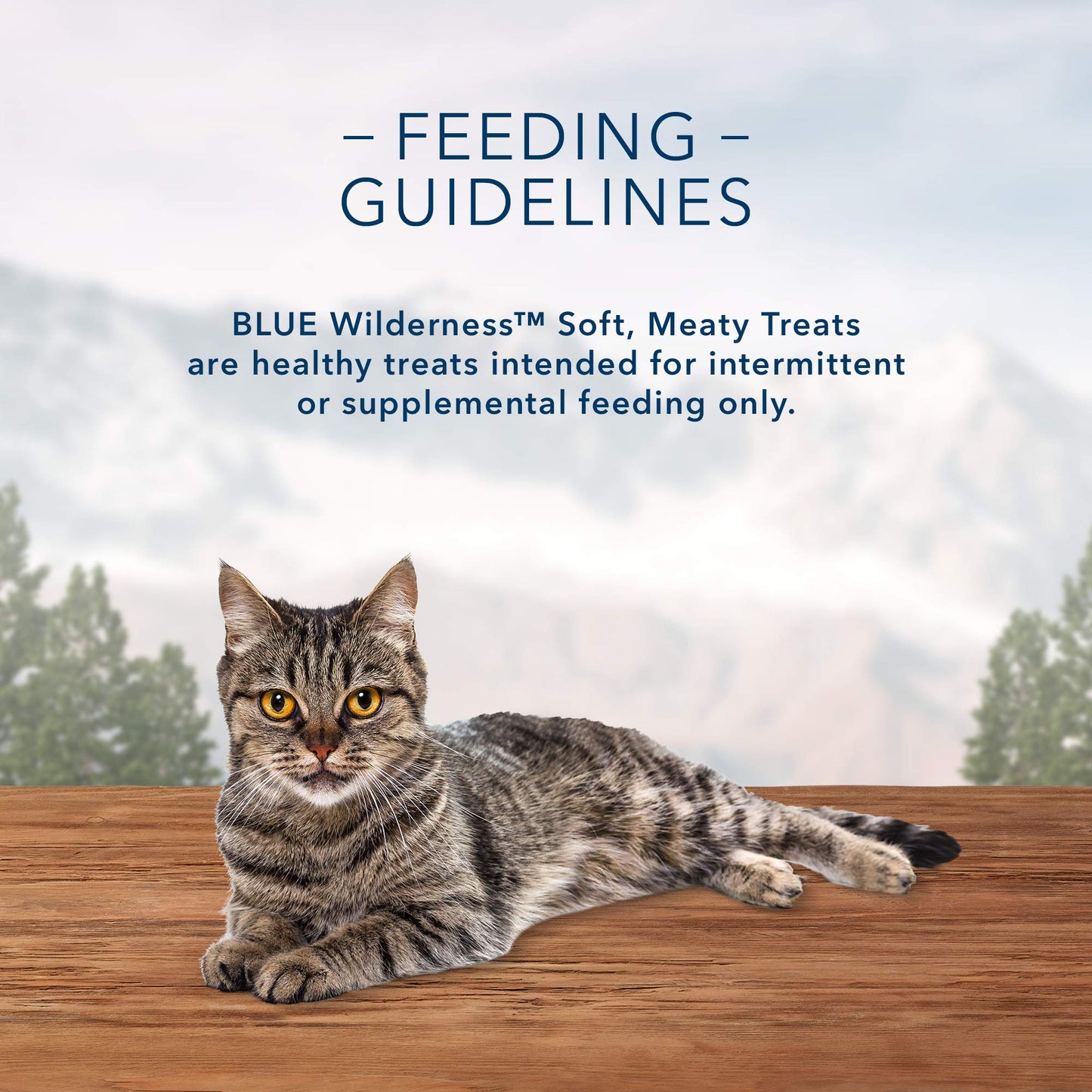 Blue Buffalo Wilderness Grain Free Soft-Moist Cat Treats, Chicken & Turkey 2-oz Bag