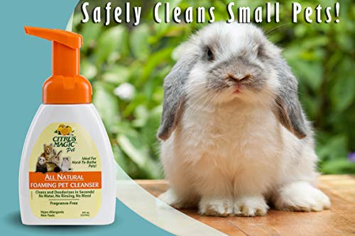 Citrus Magic Pet Foaming Pet Cleanser, 8-Fluid Ounce