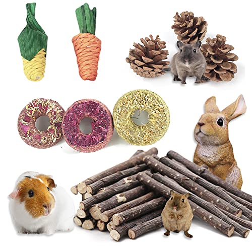 CONTIVICO Small Pets Chew Toys Small Animals Clean Teeth Treats Toys for Rabbit, Guinea Pig, Hamster, Chinchilla, Rat, Gerbil,Parrot Other Small Pets Teeth Grinding Toy (Packaged 1)