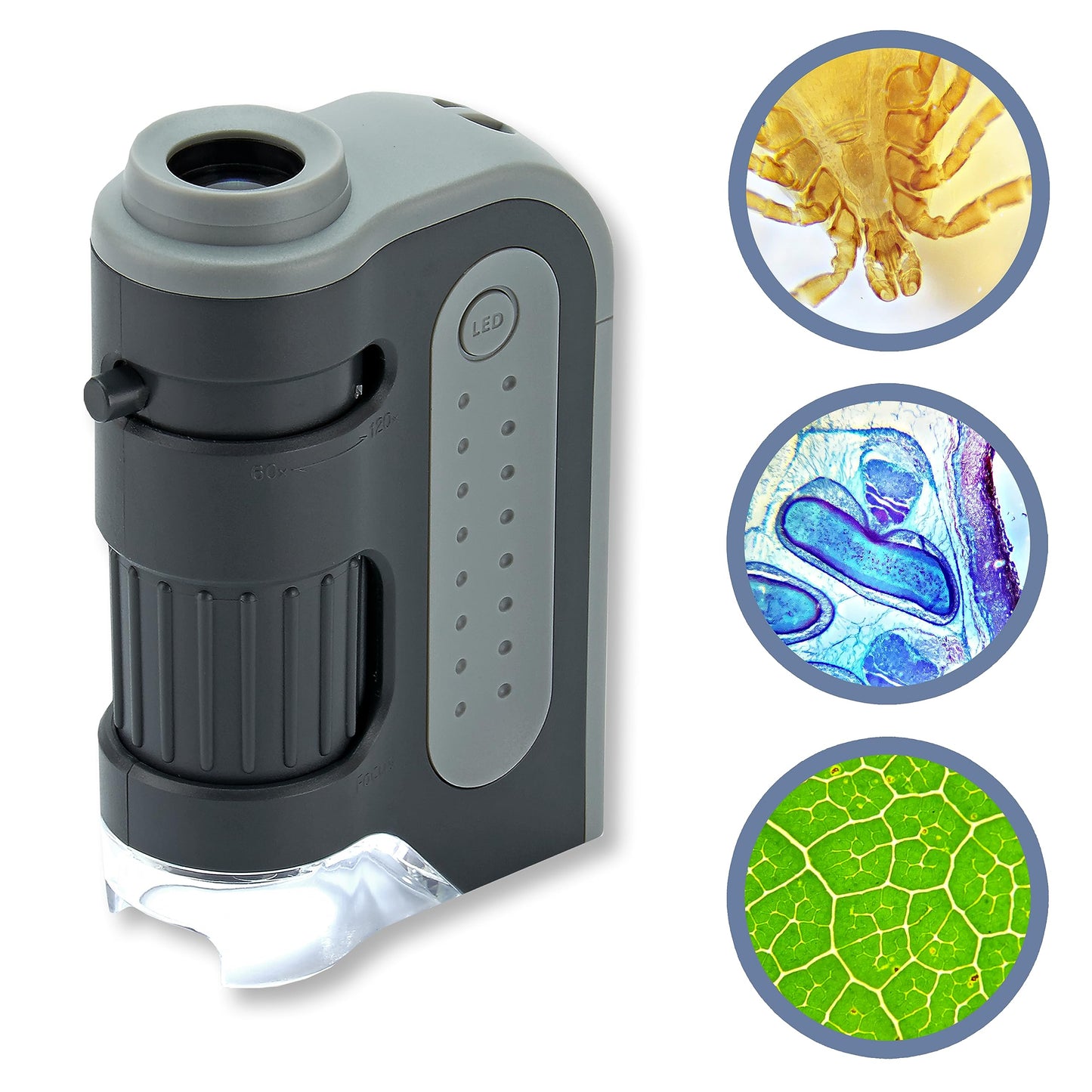 Carson MicroBrite Plus 60x-120x LED Lighted Pocket Microscope (MM-300)